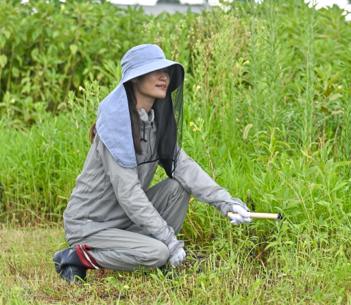 虫よけアイテム